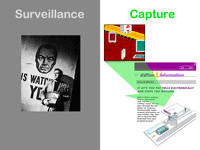 Surveillance and Capture