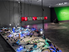 Data's Entry - Katherine Behar