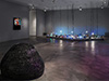 Data's Entry - Katherine Behar