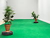 Data's Entry - Katherine Behar