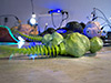 Katherine Behar: E-Waste (Exhibition)