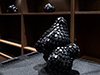 Shelf Life Exhibition at Trinity College