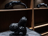 Shelf Life Exhibition at Trinity College
