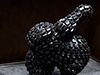 Shelf Life Exhibition at Trinity College