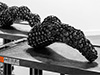 Shelf Life - Katherine Behar