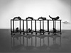 Shelf Life - Katherine Behar