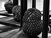 Shelf Life - Katherine Behar
