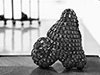 Shelf Life - Katherine Behar